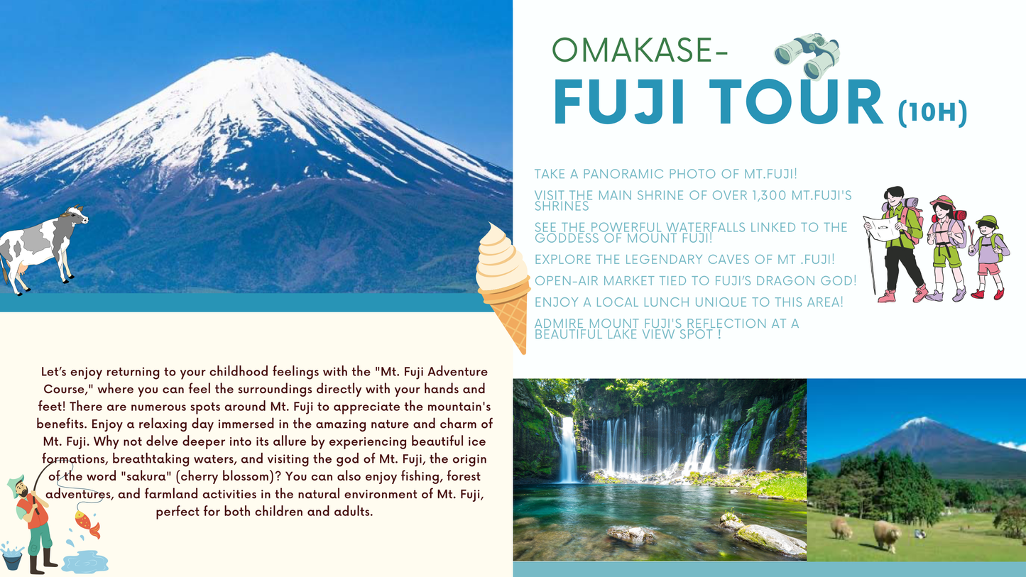 FUJI TOUR (private tour) [10H]