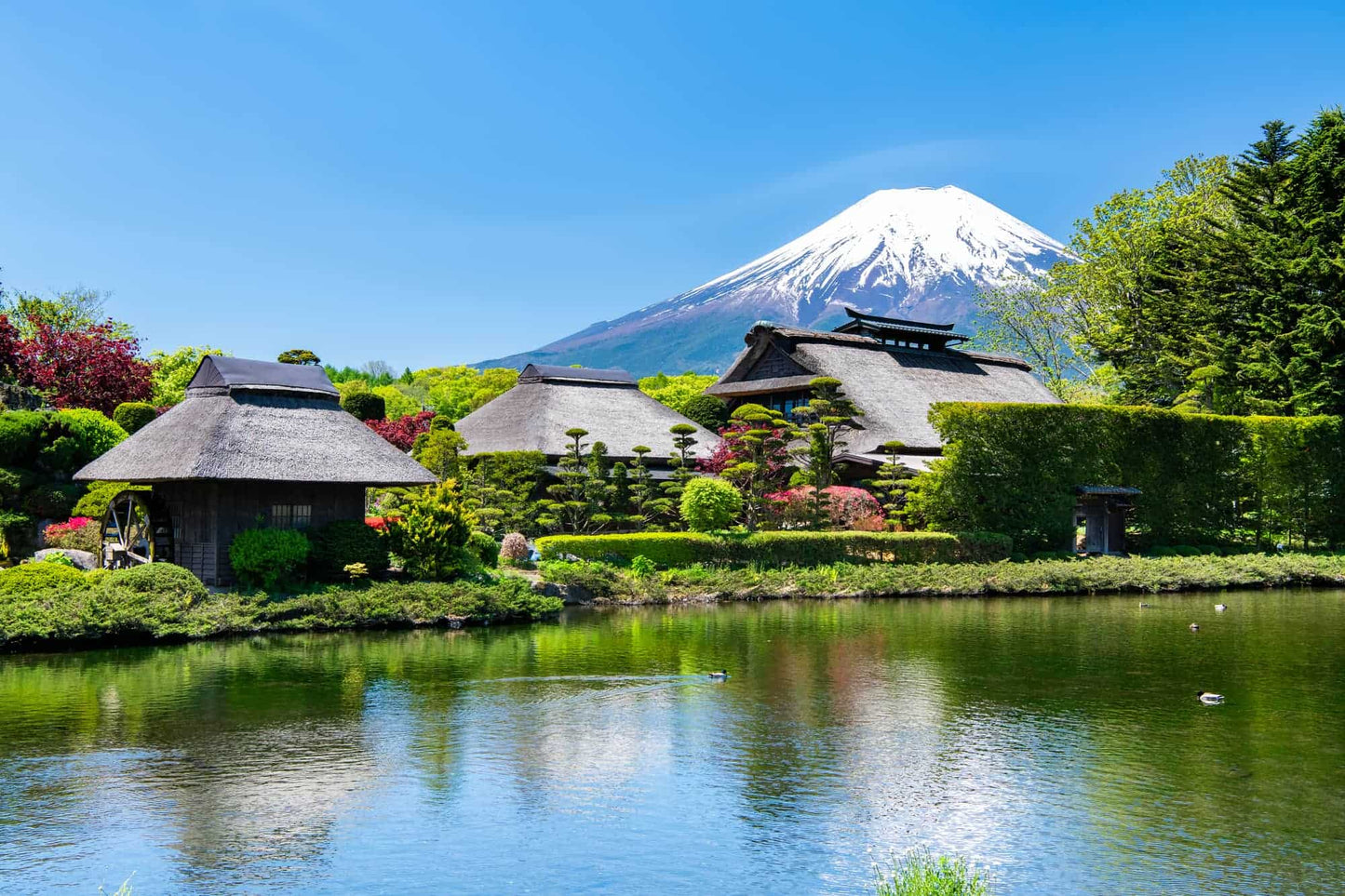 FUJI TOUR (private tour) [10H]