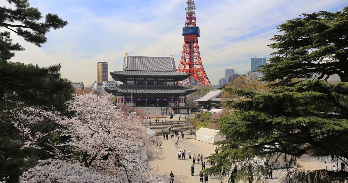 TOKYO DAY TOUR (private tour) [8H]