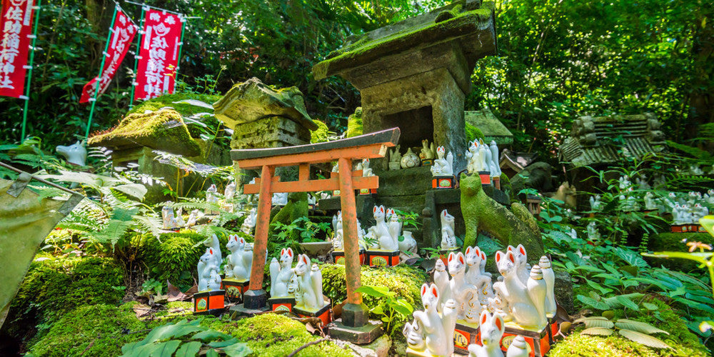 KAMAKURA TOUR (private tour) [9.5H]